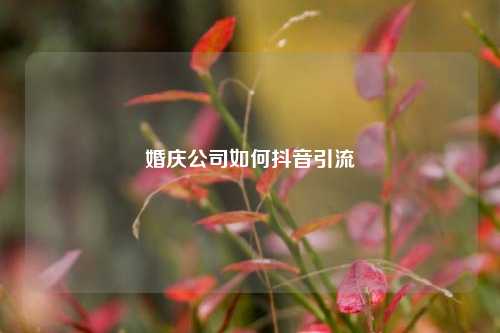 婚庆公司如何抖音引流