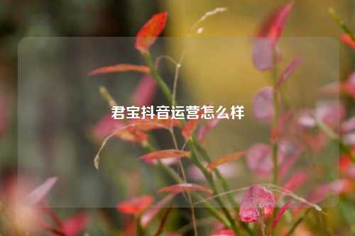 君宝抖音运营怎么样