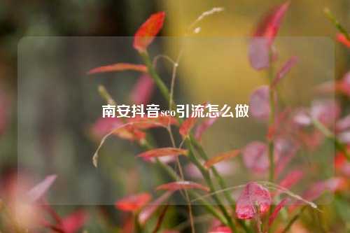 南安抖音seo引流怎么做