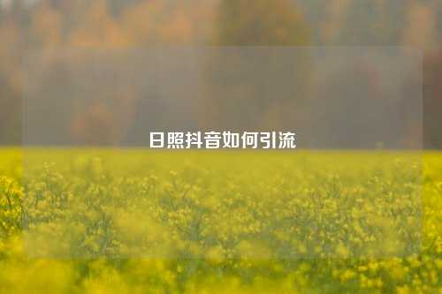 日照抖音如何引流