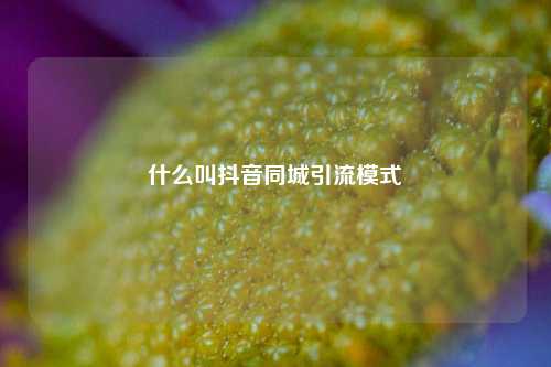 什么叫抖音同城引流模式