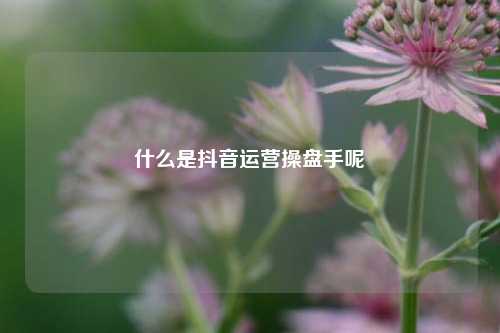 什么是抖音运营操盘手呢