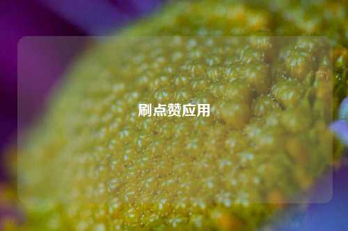 刷点赞应用