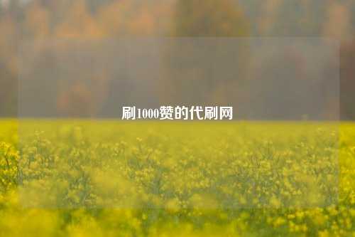 刷1000赞的代刷网