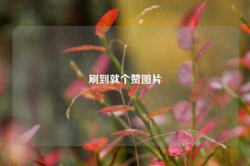 刷到就个赞图片