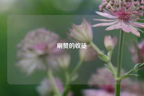 刷赞的收徒