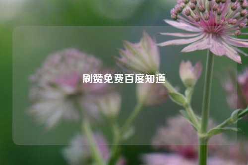 刷赞免费百度知道