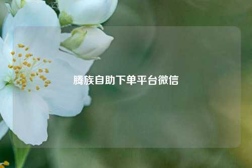 腾族自助下单平台微信