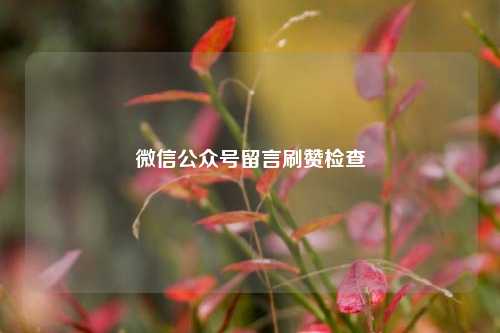 微信公众号留言刷赞检查